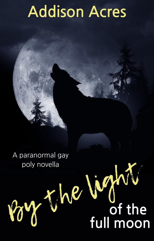 By The Light Of The Full Moon