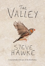 Book cover for The Valley by Steve Hawke
