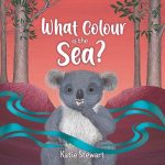 Read the review of What Colour is the Sea?