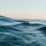 ID: a close up view across the top of gentle ocean waves.