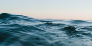 ID: a close up view across the top of gentle ocean waves.