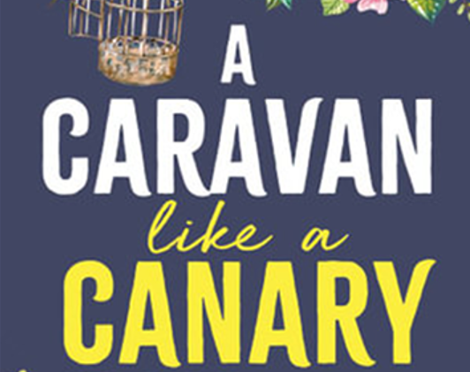 ID: a partial cover of A Caravan like a Canary