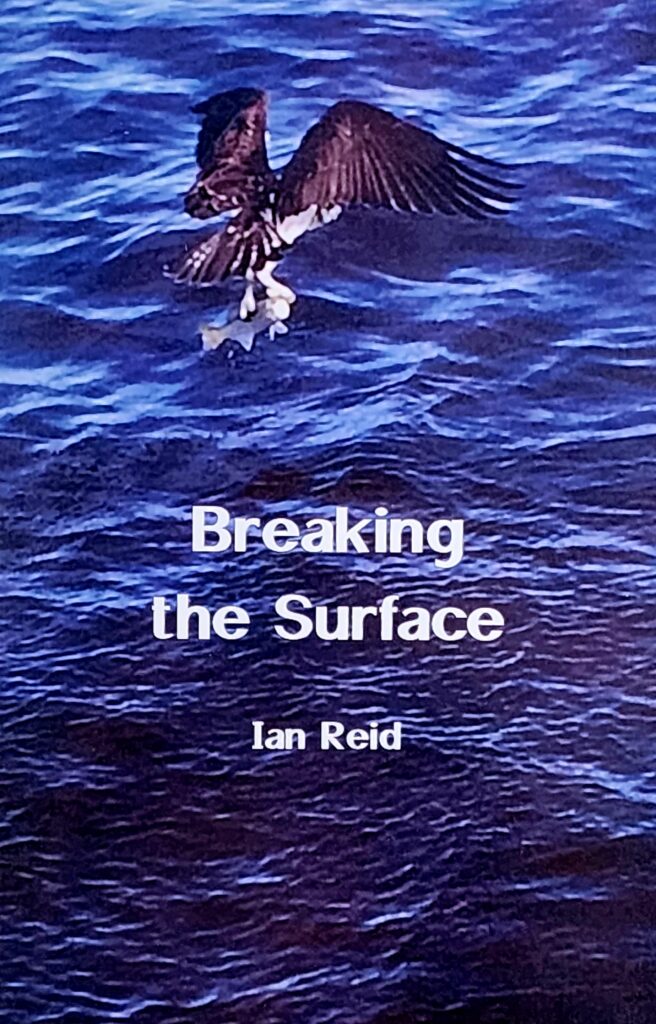 Breaking the Surface cover.