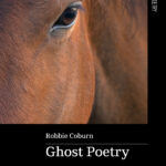 Read the review of Ghost Poetry